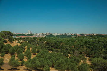 Building skyline with treetops seen from the Teleferico Park of Madrid