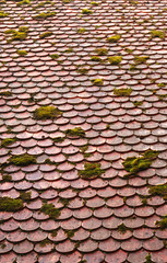 old roof, partly covered with moss