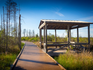 Beautiful winter landscape of Georgia