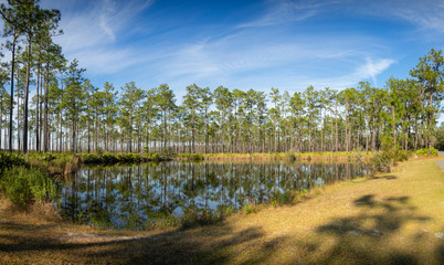 Beautiful winter landscape of Georgia