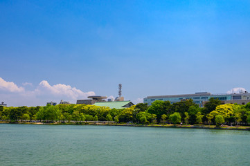 Fototapeta premium 初夏の大濠公園