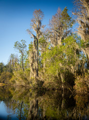Beautiful winter landscape of Georgia
