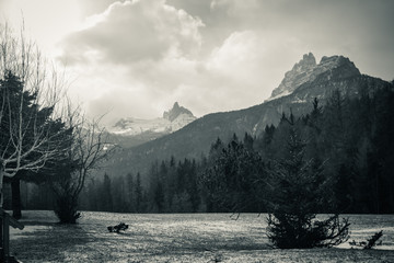 black and white selective color snowy landscape in pass giau in dolomites in cold wintertime, italy