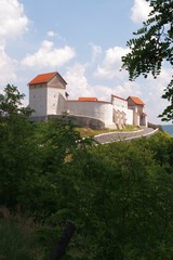 Fototapeta na wymiar Medieval citadel of Feldioara - Brasov, Transylvania, Romania 