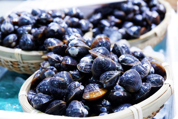 Sea Food in fresh market Tokyo Japan - street photography