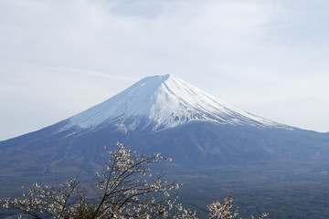 Fototapeta na wymiar Close up top of beautiful Fuji mountain with snow cover on the top with could, Japan 