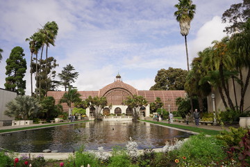 Fototapeta premium Balboa Park Rose Garden San Diego California palms summer