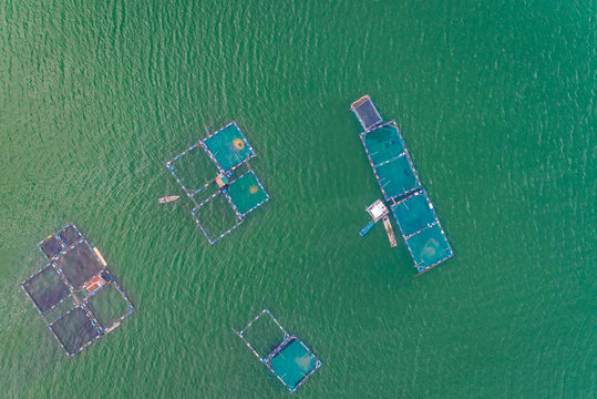 Aerial view of fish farm pools in Talisay, Philippines.