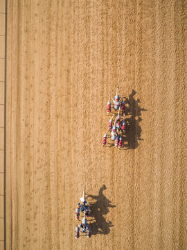 Aerial view of a group of camels during a race in the desert of Ras Al Khaimah, U.A.E.