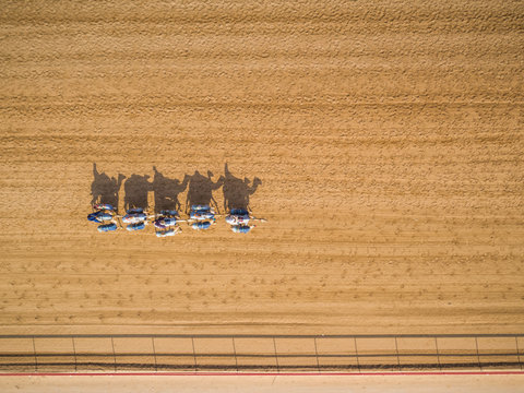 Aerial view of a group of camels during a race in the desert of Ras Al Khaimah, U.A.E.