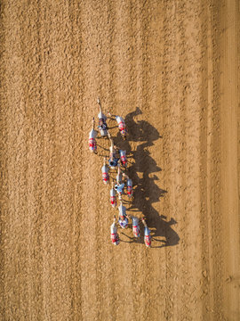 Aerial view of a group of camels during a race in the desert of Ras Al Khaimah, U.A.E.