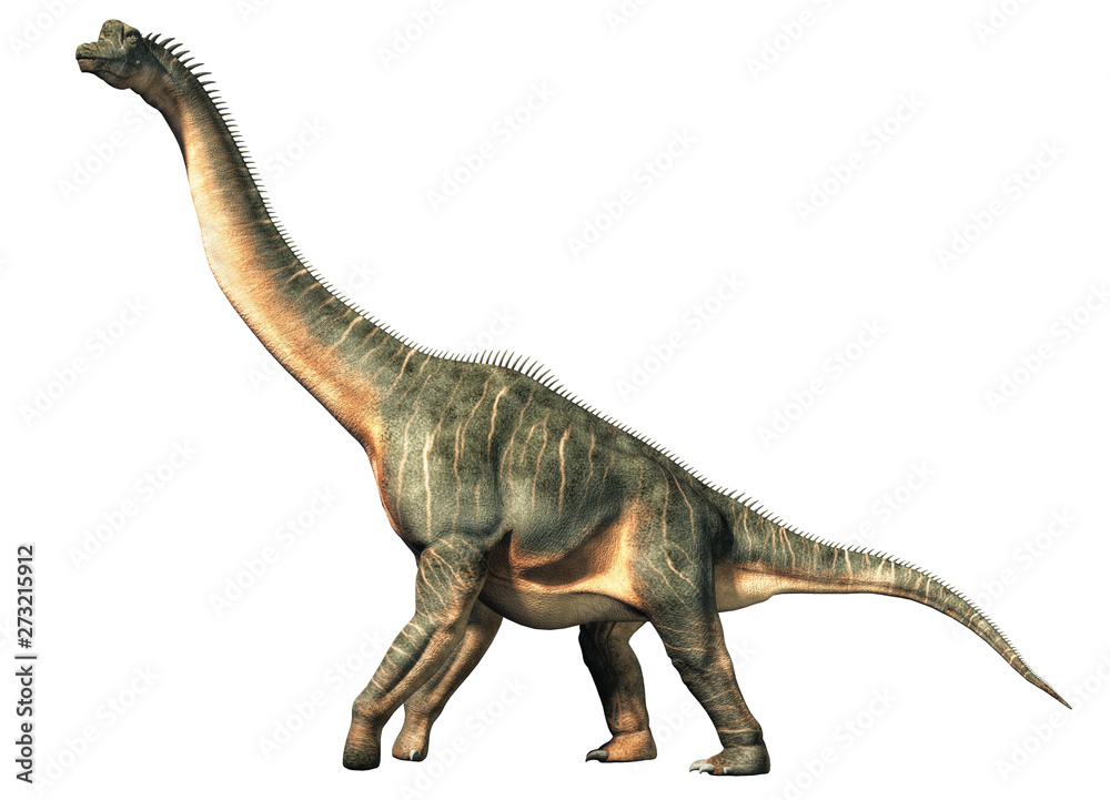 Poster brachiosaurus was a sauropod dinosaur, one of the largest and most popular. it lived in during the l