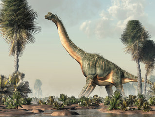 Brachiosaurus was a sauropod dinosaur, one of the largest and most popular. It lived in during the Late Jurassic Period. Standing in a wetland. 3D Rendering