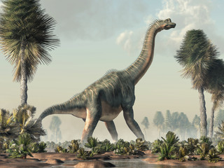 Brachiosaurus was a sauropod dinosaur, one of the largest and most popular. It lived in during the Late Jurassic Period. Standing in a wetland. 3D Rendering © Daniel Eskridge