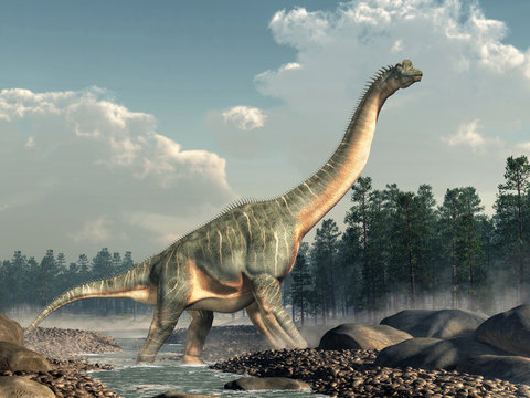 Brachiosaurus was a sauropod dinosaur, one of the largest and most popular. It lived in during the Late Jurassic Period. Standing in a rocky stream. 3D Rendering