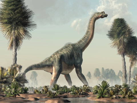 Brachiosaurus was a sauropod dinosaur, one of the largest and most popular. It lived in during the Late Jurassic Period. Standing in a wetland. 3D Rendering