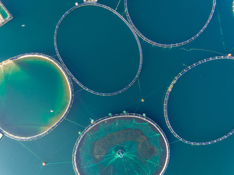 Close up aerial view of fish farm pools in the beautiful Mediterranean sea, Greece