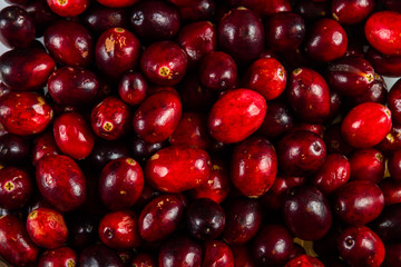 Cranberries in a punnet forming a background
