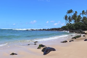 Beautiful beach area on the North Shore in Hawaii; 