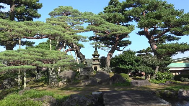 Stone Lantern with pines in Kenroku-en garden (one of the Three Japanese Great gardens). Kanazawa, Ishikawa, Japan
