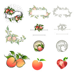 Different Peach logo design set