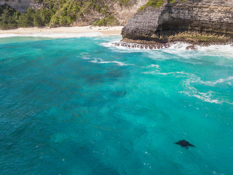 Aerial view of two manta rays off Island Nusa Penida, Indonesia.