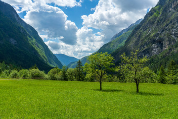 Typical alpine landscape at the Soca valley