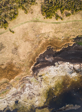 Abstract aerial view of empty dirt road next to algae beach on coastline in Estonia