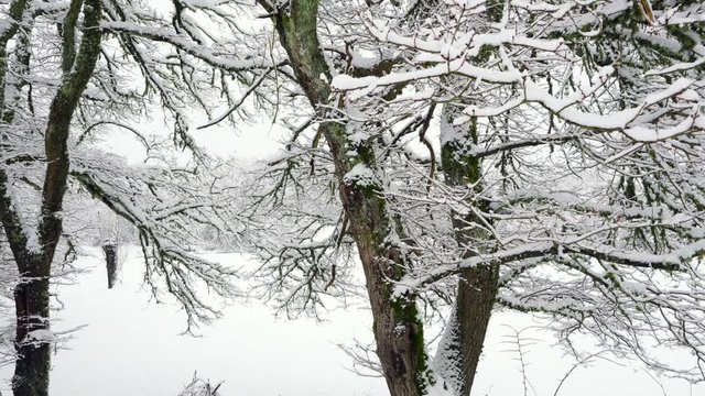 Bayas or Baias River, Gorbeia Natural Park, Alava, Basque Country, Spain, Europe