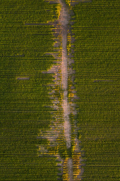 Aerial view of a car driving on a straight road surrounded by farmland in Estonia countryside.
