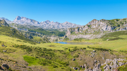 Fototapeta na wymiar Amazing landscape of Covadonga Lakes (Lagos de Covadonga) in Picos de Europa National Park, Asturias, Spain