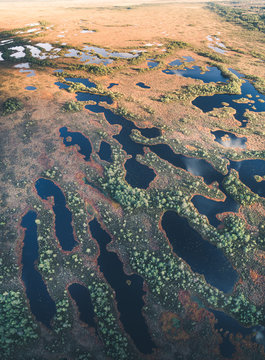 Aerial view of beautiful blue swamp in Estonia.
