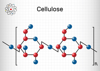 Cellulose polysaccharide molecule. Sheet of paper in a cage. Structural chemical formula. Vector illustration.