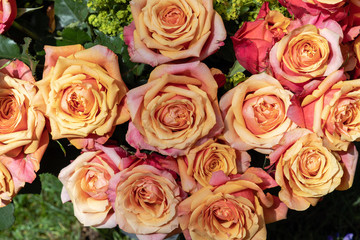 Strauß mit Orange farbenen Rosen