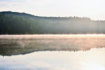 The reflection of a forest across a lake with fog on the surface of the water