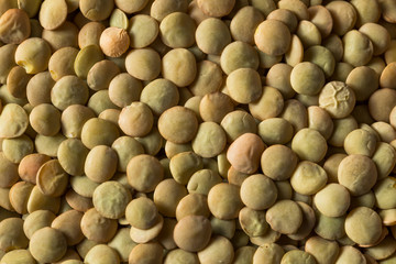 Fototapeta premium Dry Organic Green Lentils