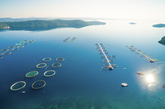 Aerial view of fish farming in Dugi Otok in Croatia