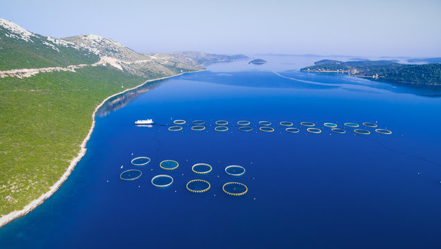 Aerial view of fish farming in Dugi Otok in Croatia