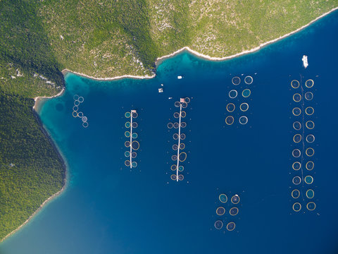 Aerial view of fish farming in Dugi Otok in Croatia