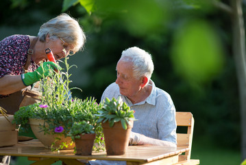 Senior couple potting plants