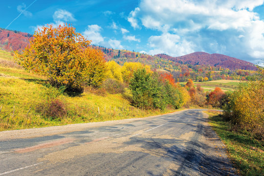 old cracked country road in autumn. traditional carpathian countryside. warm sunny day. trees in colorful foliage. green grass on the rural fields