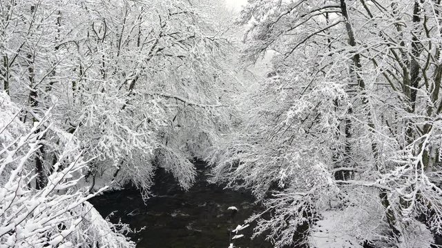 Bayas or Baias River, Gorbeia Natural Park, Alava, Basque Country, Spain, Europe