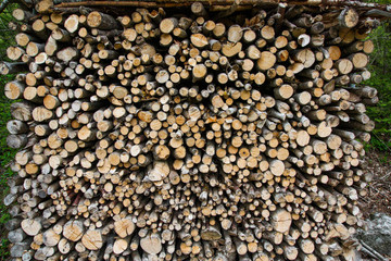 A large wall of small stacked wooden logs in the forest, showing a natural background or texture