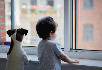 little boy and dog look out the window