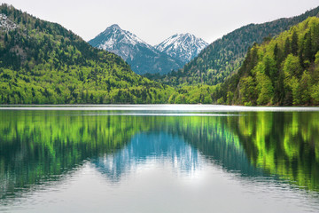 Fototapeta na wymiar Alpsee mountain lake landscape, reflection of mountains and forest in clear water of Bavaria.