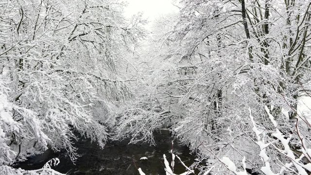 Bayas or Baias River, Gorbeia Natural Park, Alava, Basque Country, Spain, Europe