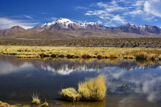Isluga National Park, Tarapaca, Chile
