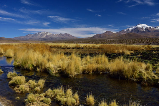 Isluga National Park, Tarapaca, Chile