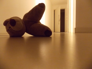 Urso Abandonado chão