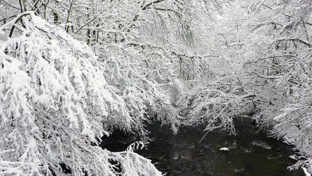 Bayas or Baias River, Gorbeia Natural Park, Alava, Basque Country, Spain, Europe